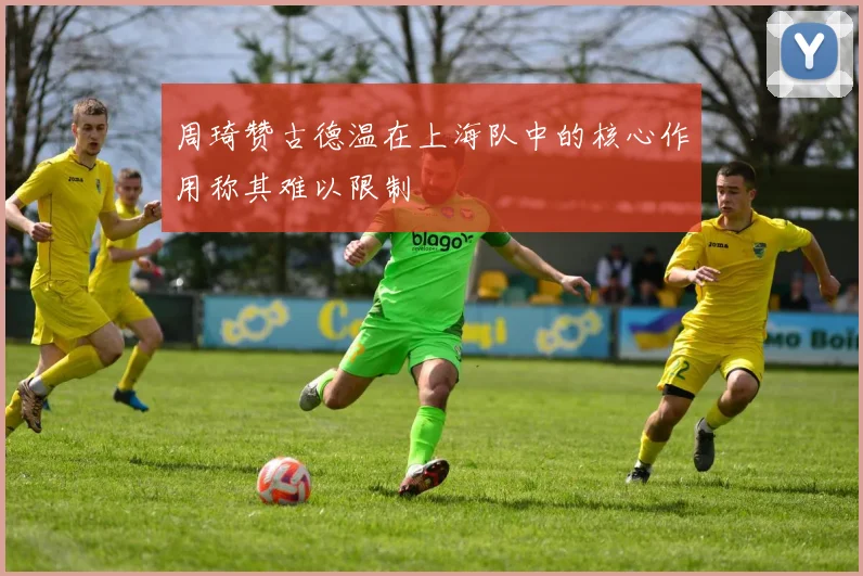 周琦赞古德温在上海队中的核心作用称其难以限制